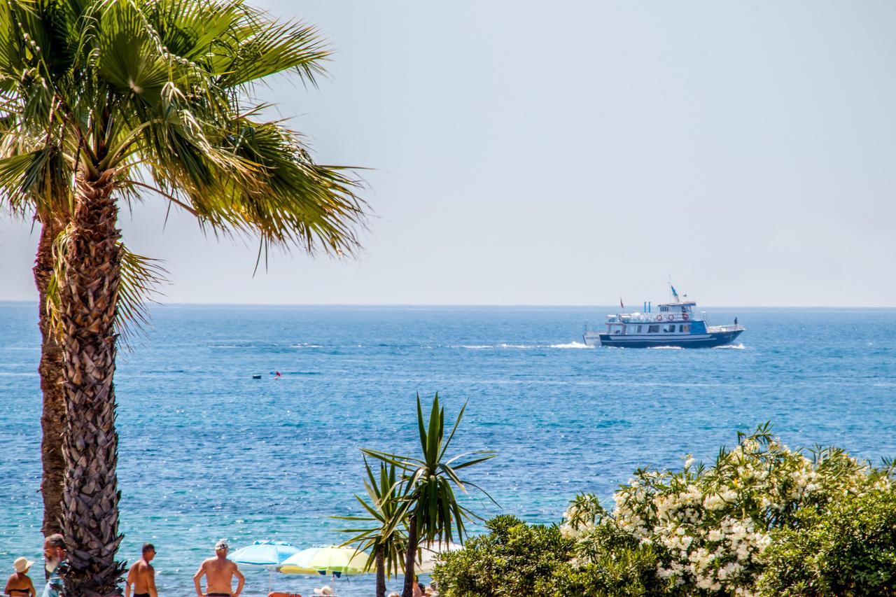 Espanatour Vega Baja Torrevieja Extérieur photo